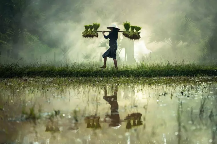 Global Wetland Outlook 2025 warns of $39 trillion loss without urgent action