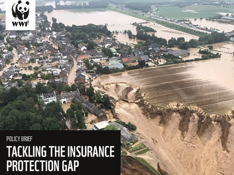 Failing on climate and nature could make economies uninsurable