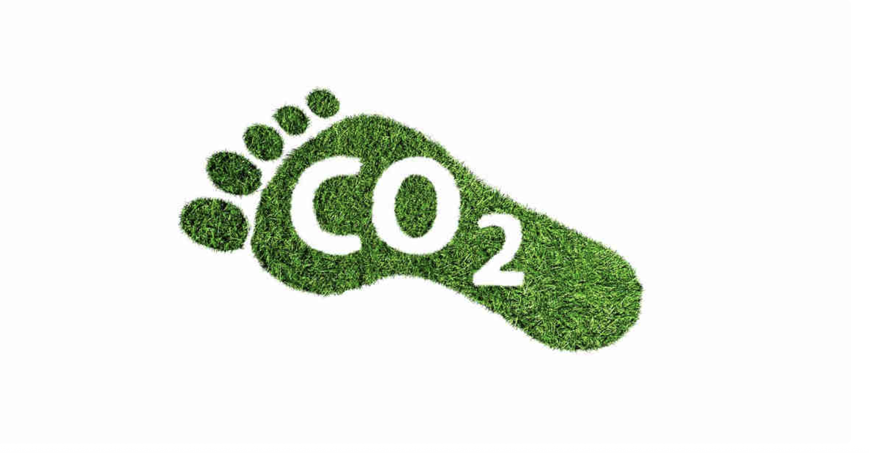 POYD, Geleneksel Sezon Galası’nın karbon ayak izini sıfırladı